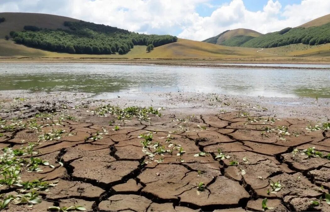 Il cervello è pieno d’acqua