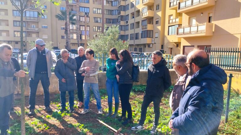 Trapani, piantato a cura del M5S un albero in memoria del piccolo Alessandro