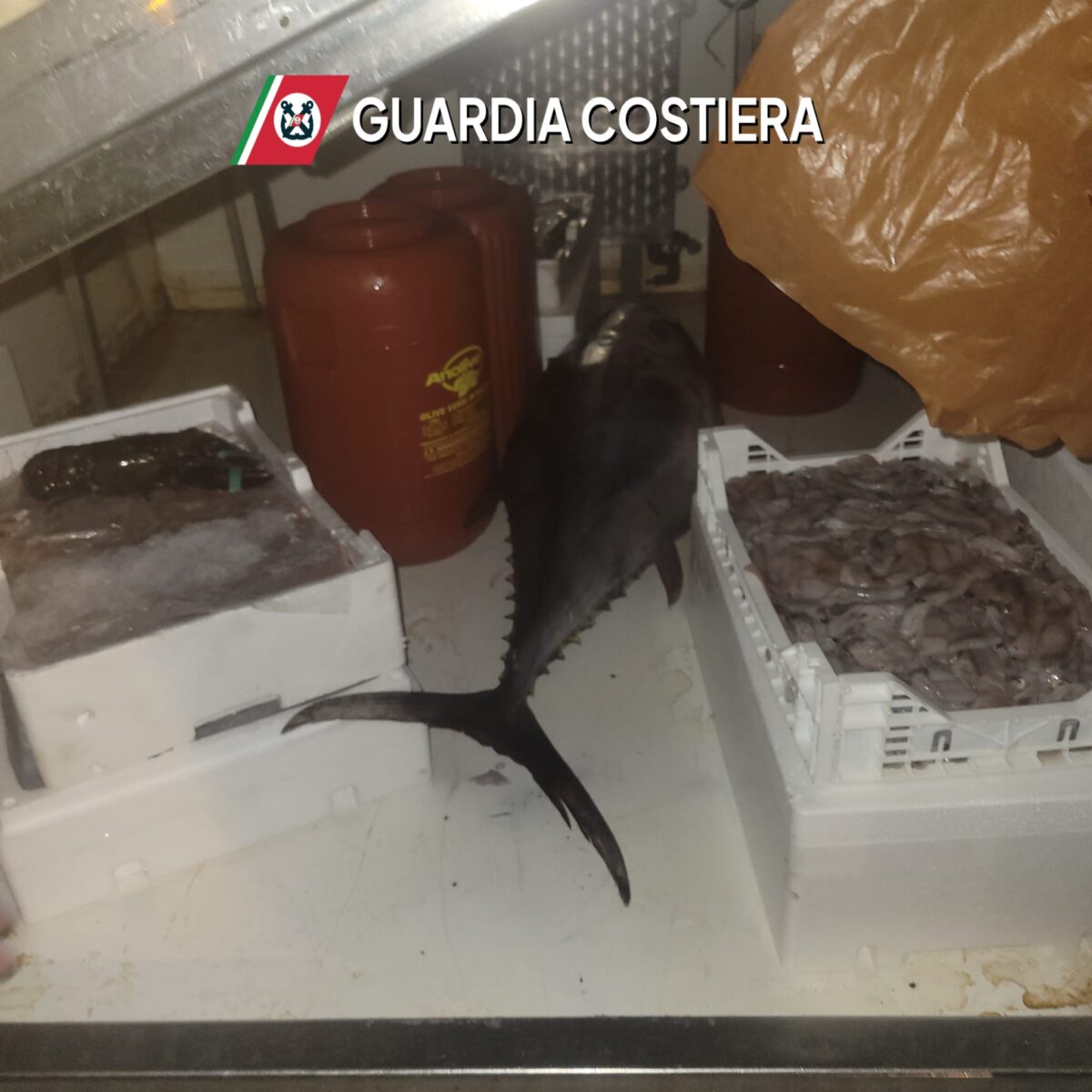 Controlli a tappeto, sequestrati oltre 5.500 chili di prodotti ittici anche a Mazara, Egadi e Pantelleria