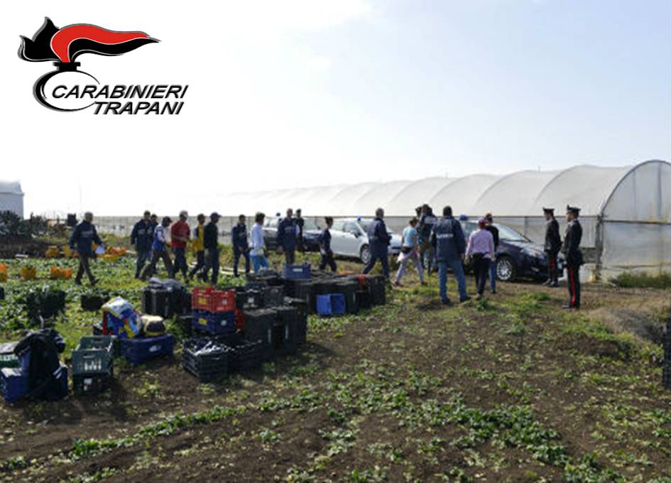 Trapani, sfruttamento di lavoratori nel settore oleario. Denuncitate tre persone