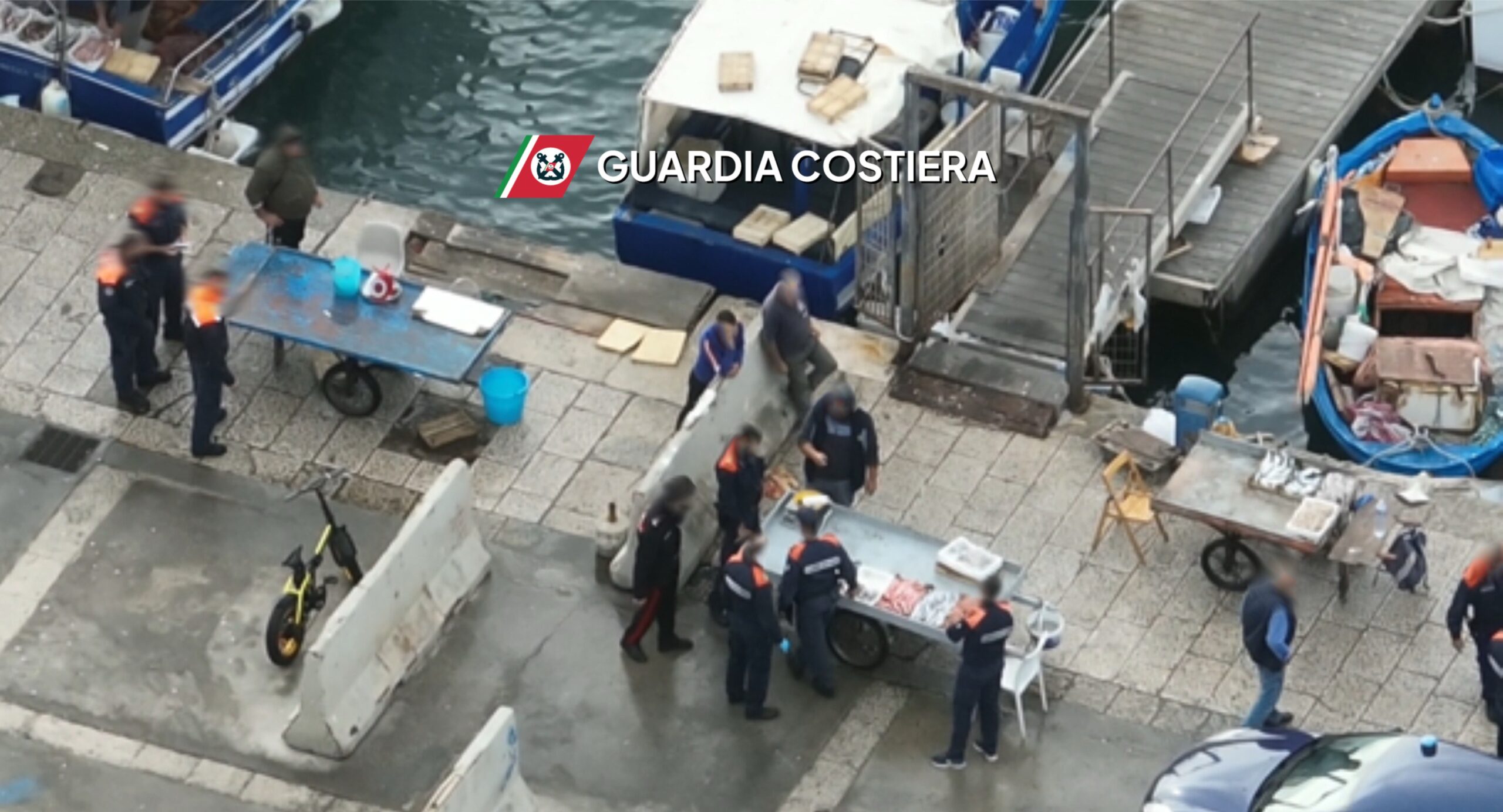 Trapani, Commercio itinerante di prodotti ittici non autorizzato: sequestrati della Capitaneria di Porto circa 2 quintali di pesce