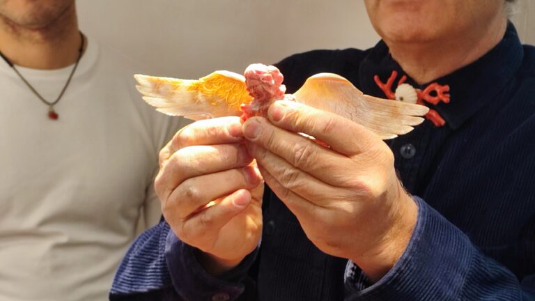 Trapani e l’oro rosso: un mese di eventi dedicati al corallo