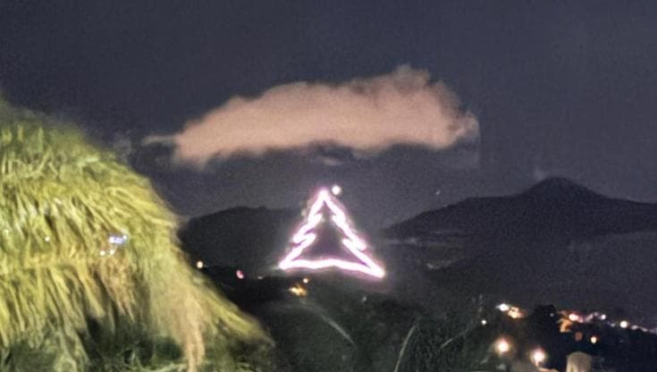 Acceso l’albero più grande della Sicilia, è il secondo più grande d’Italia