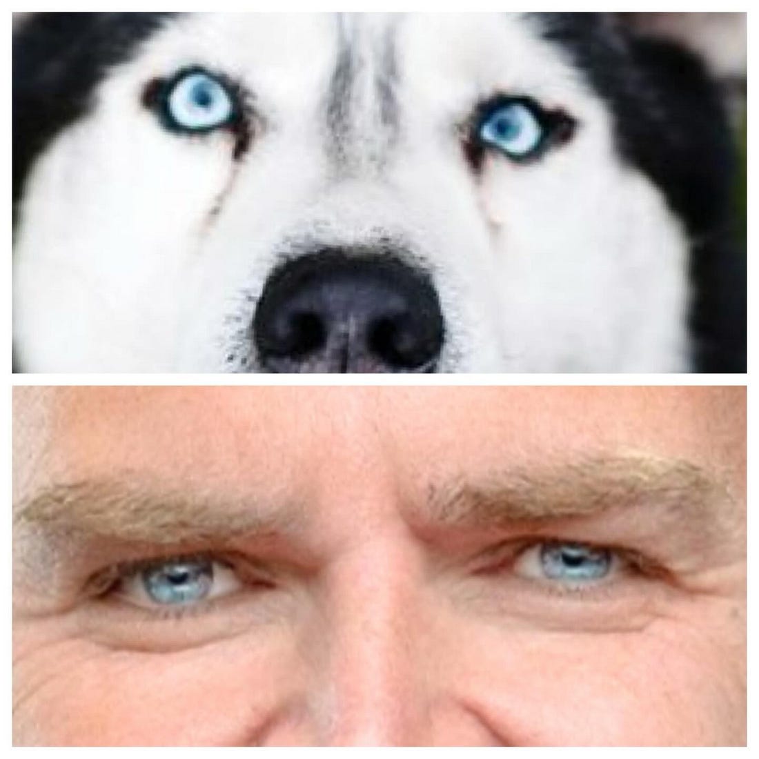 Più in basso di così c’è solo da scavare