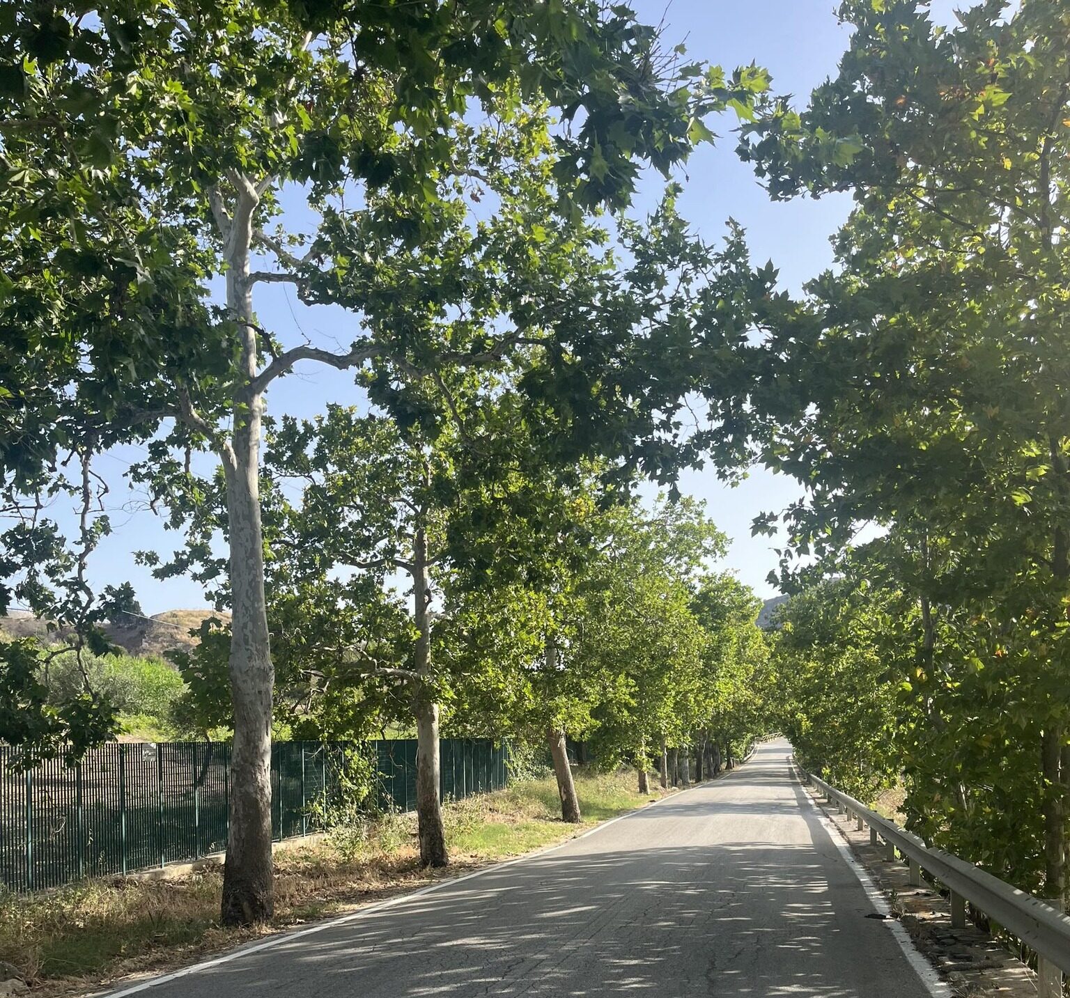 Recupero di spazi verdi e parchi: Mazara, Calatafimi e Custonaci ricevono un contributo