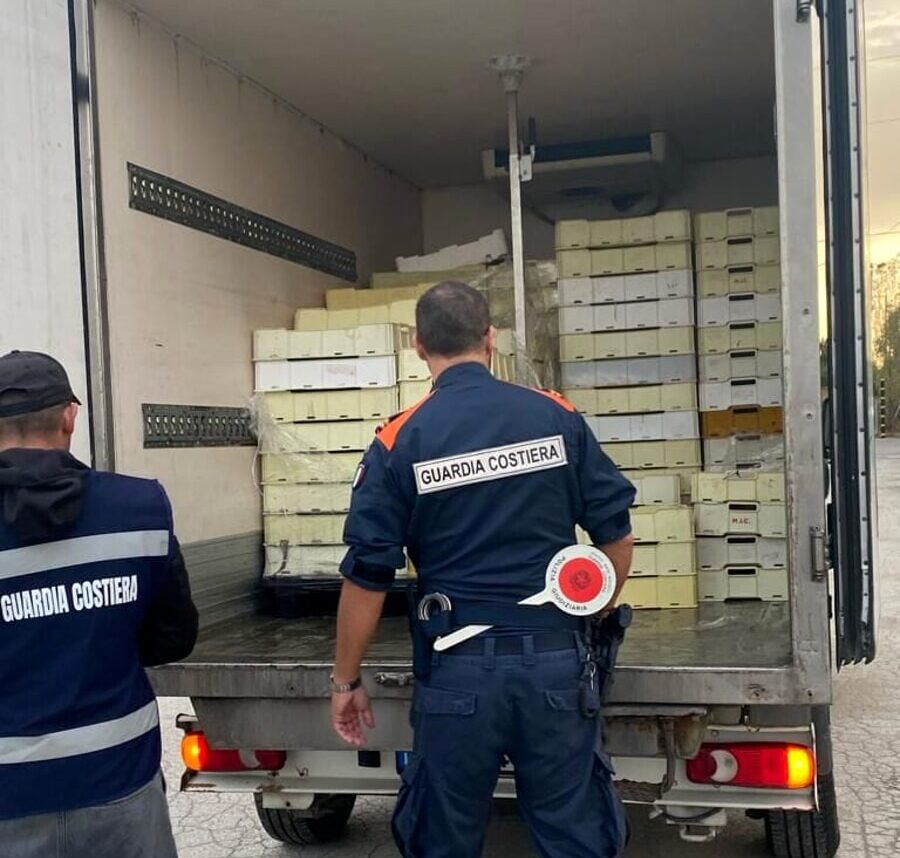 Sequestrati in sei comuni trapanesi oltre 800 kg di prodotto ittico non tracciato e scaduto