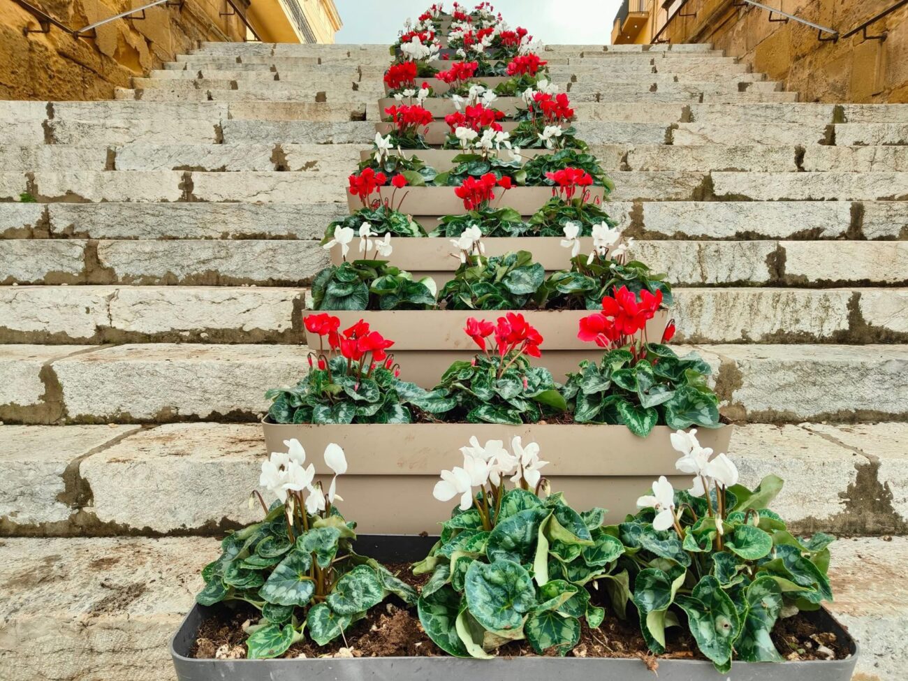 Mazara del Vallo cerca un giardiniere, indetto un concorso pubblico