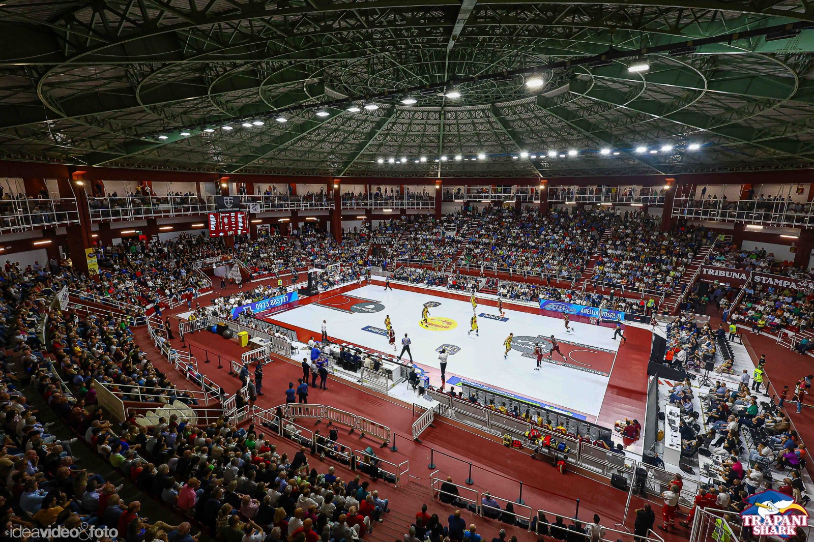 Trapani Shark: “FIP e la Lega Basket Serie A unici responsabili di questo scempio”