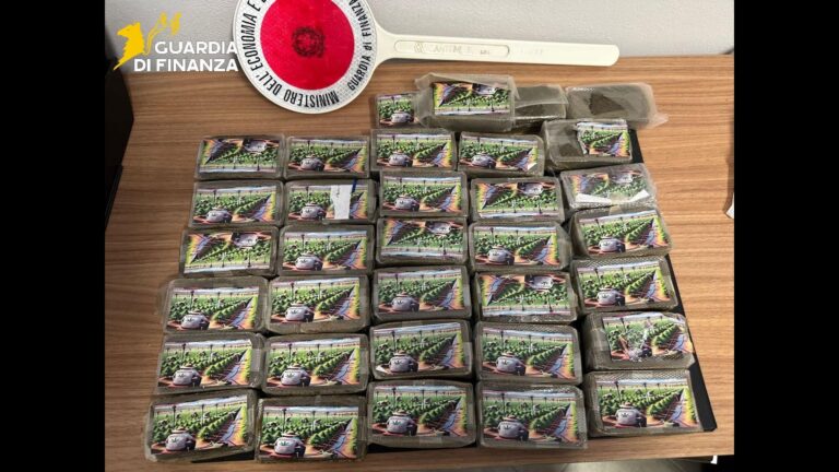 Droga spedita in pacchi postali da piattaforme online, maxi operazione anche nel trapanese. VIDEO