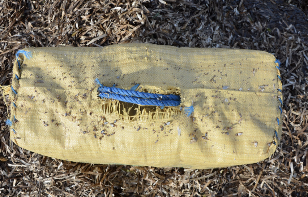 Le rotte della droga fino alle coste trapanesi, anni di “ritrovamenti” in riva