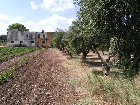 Il Libero Consorzio di Trapani fa marcia indietro: Funtanazza e Podere Badia non verranno venduti