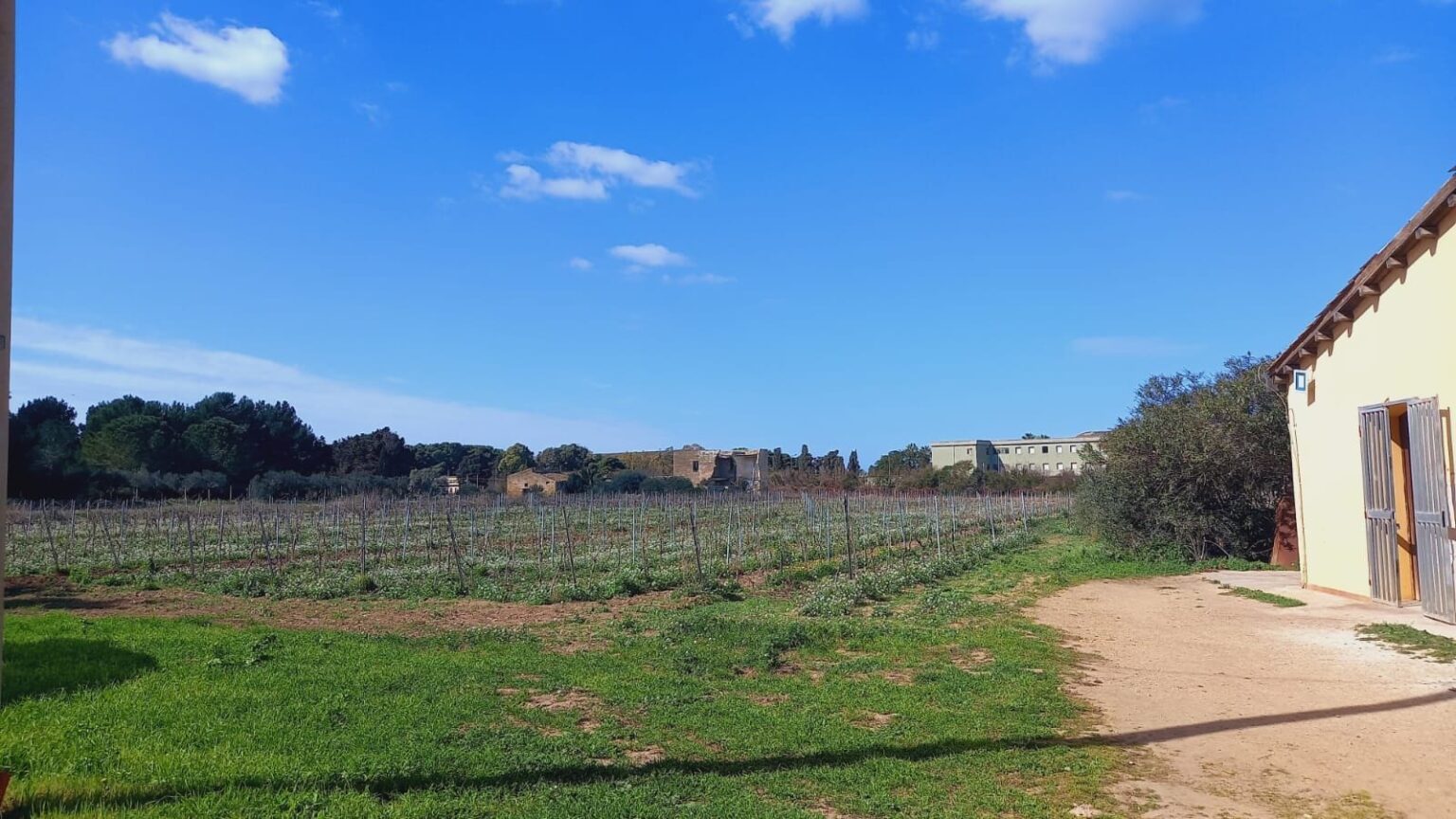 Vendita Podere Badia, il sindaco di Marsala: “non condivido”. Il PD: “errore politico e culturale”