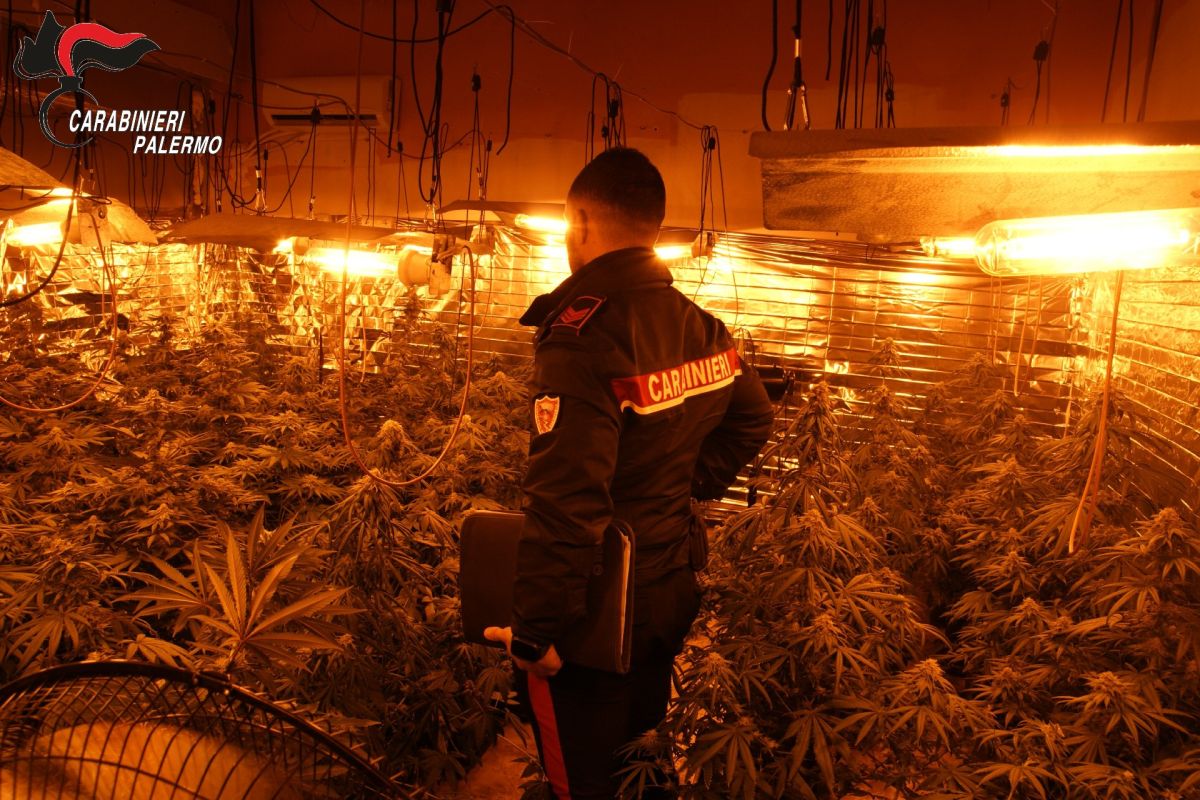 Scoperta a Carini una serra indoor per la produzione di droga, denunciate tre persone