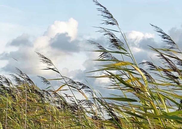 Meteo Sicilia: nuova allerta gialla per venti di burrasca