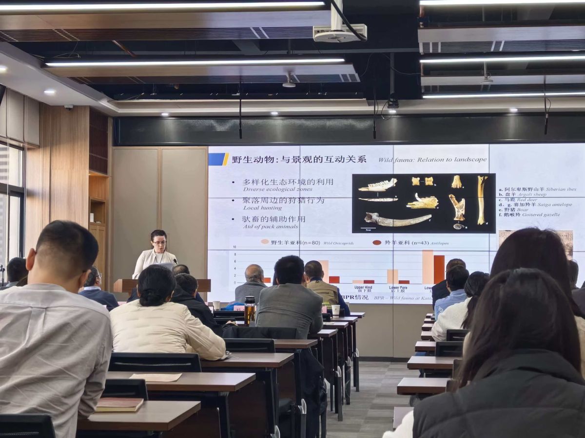 Cina: dall’Italia a Xi’an, il viaggio di un’archeologa lungo la Via della seta