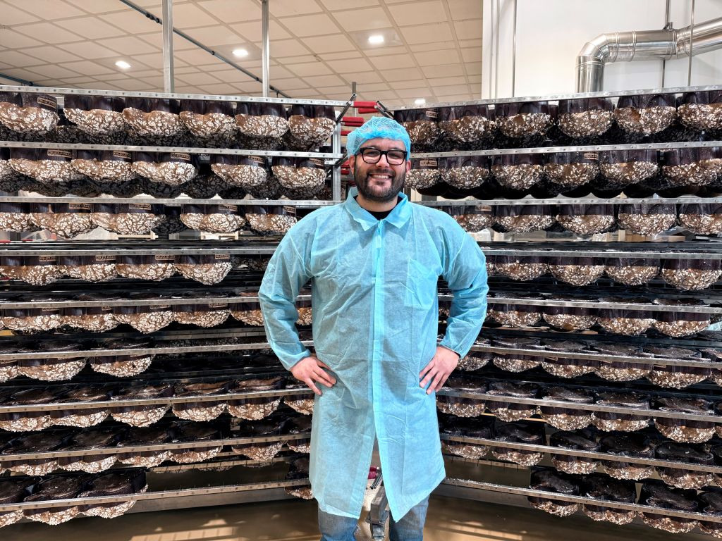 Dolci pasquali, a Tomarchio la certificazione Lfree