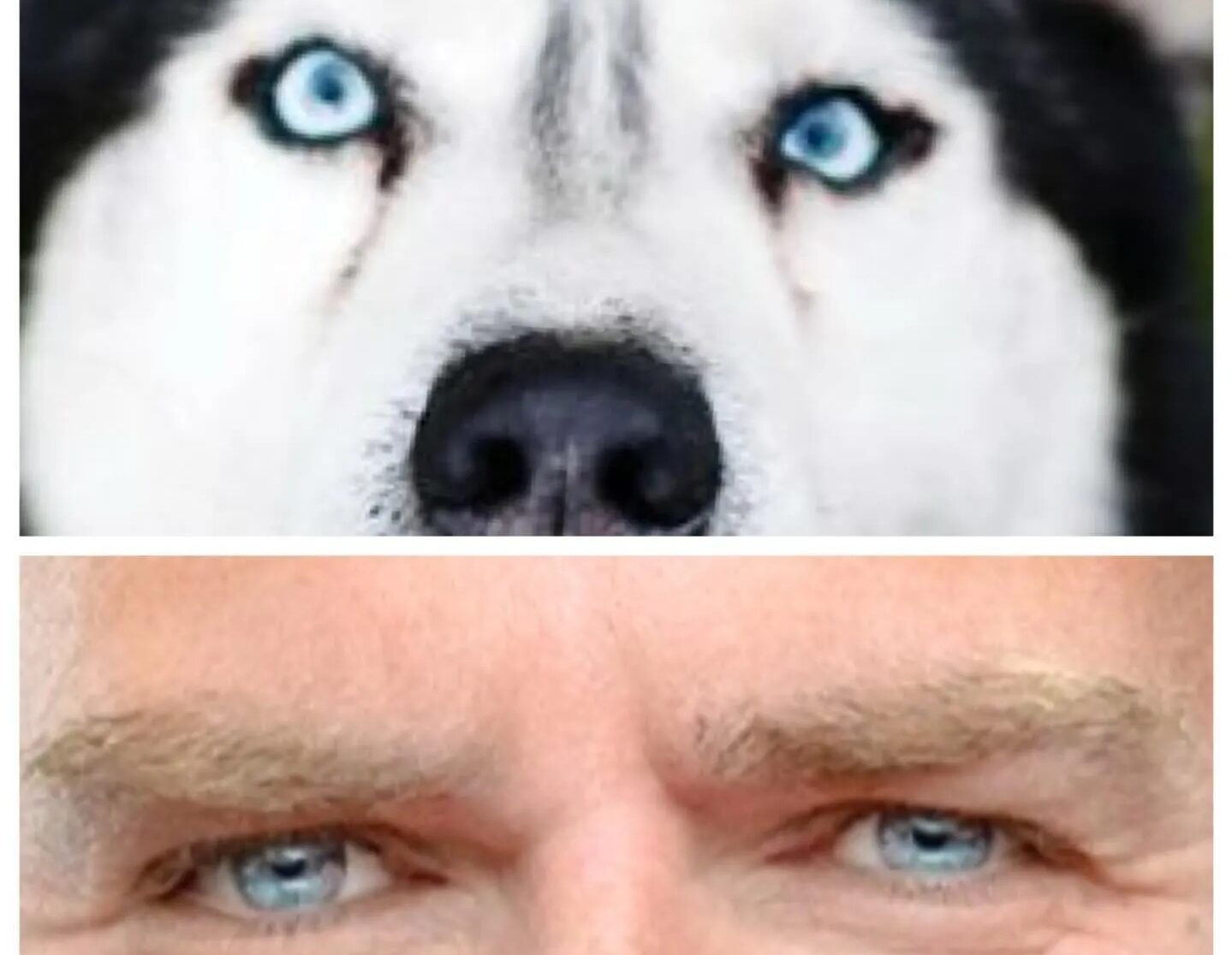 Più in basso di così c’è solo da scavare