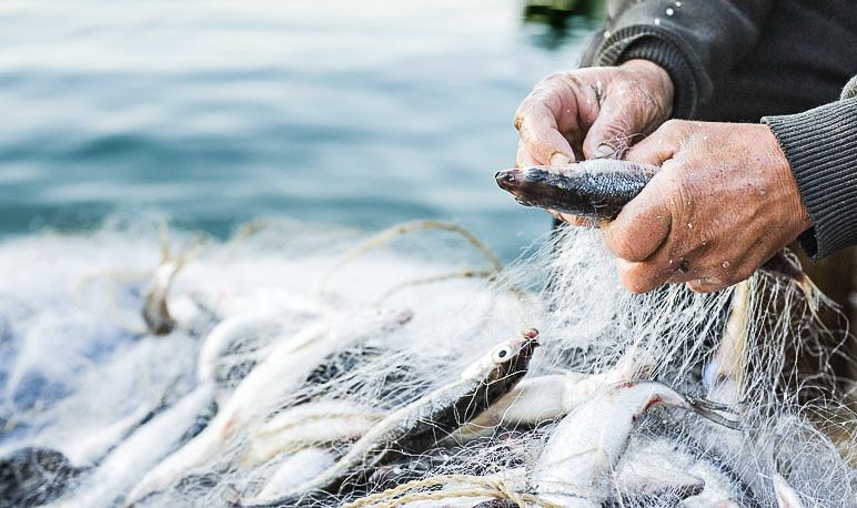 Pesca marittima, pubblicata graduatoria per piccoli interventi infrastrutturali 