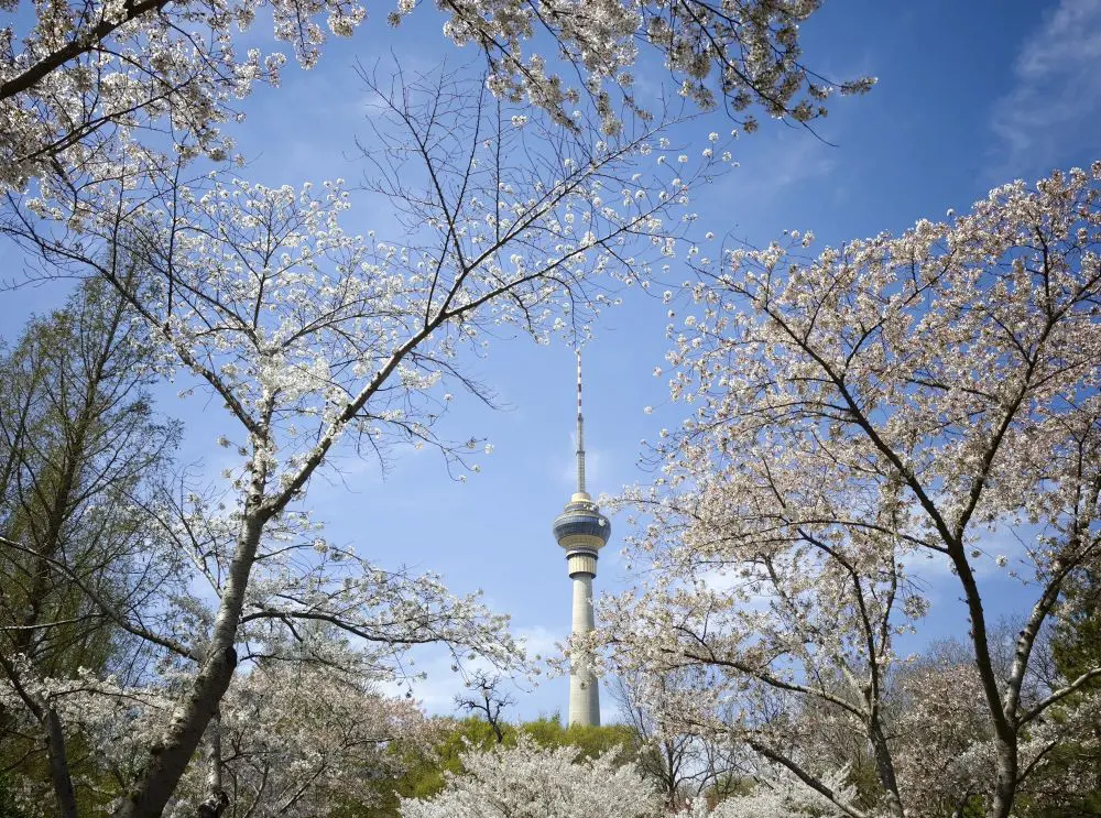 Pechino, quasi eliminate le giornate con livello “grave” di inquinamento