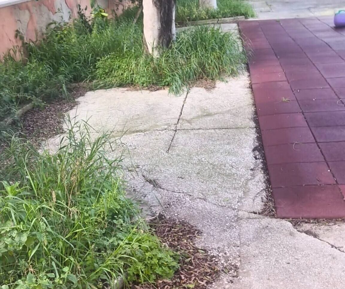 Paceco: “Scuole nel degrado, asilo nido e materne tra erbacce e incuria”