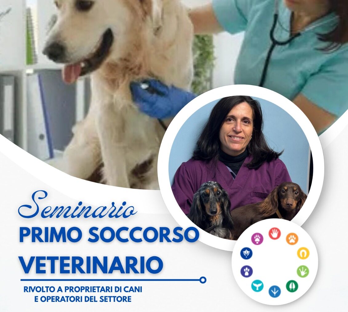 A Marsala seminario di primo soccorso veterinario per proprietari di cani e operatori del settore