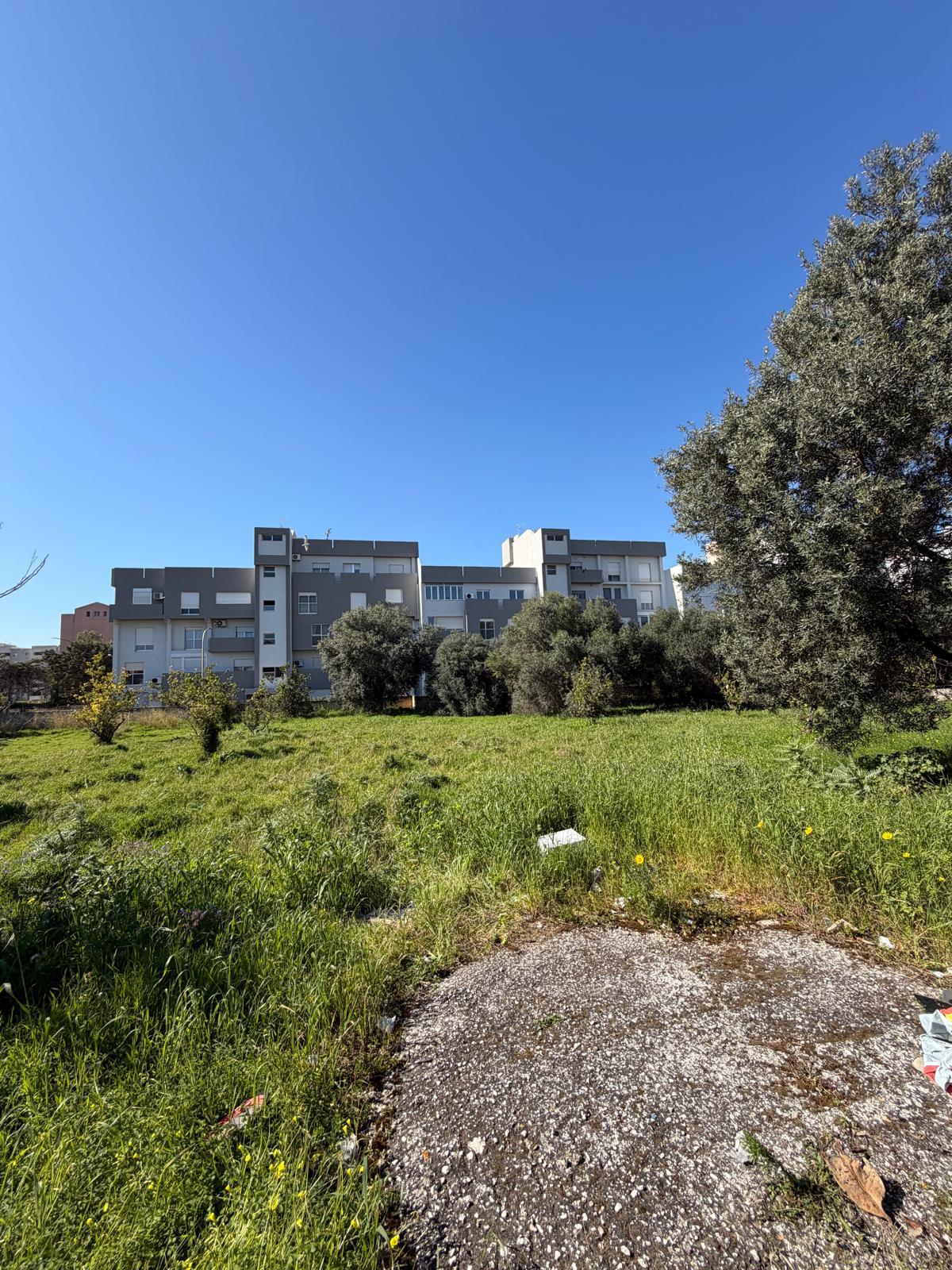 Sant’Alberto, 50mila euro per una nuova vita all’area verde trapanese