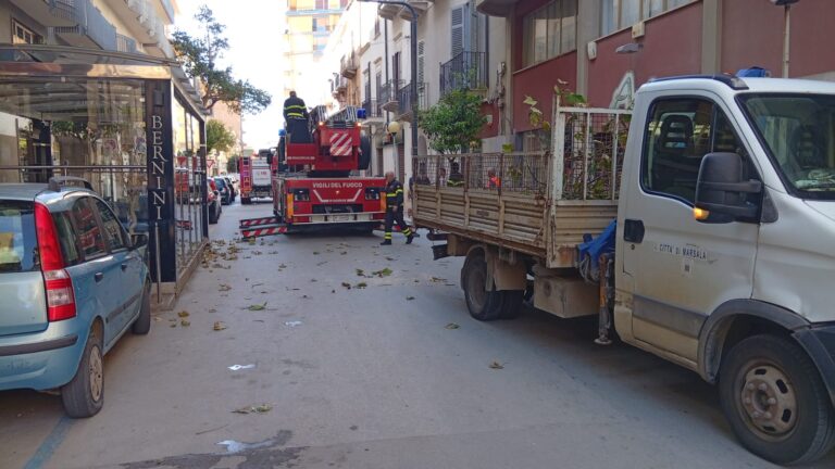 Marsala: crolla un albero sul gazebo di un bar, via bloccata. Ci sono danni