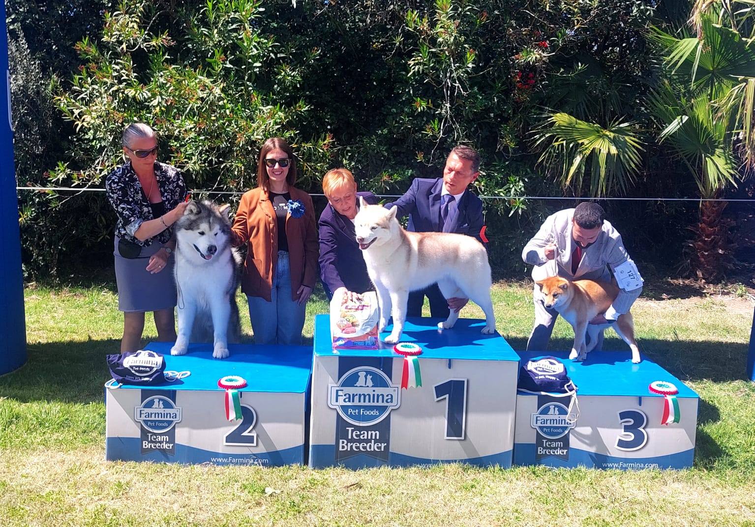 A Petrosino l’Esposizione Canina Internazionale regala emozioni a 4 zampe: tutti i vincitori