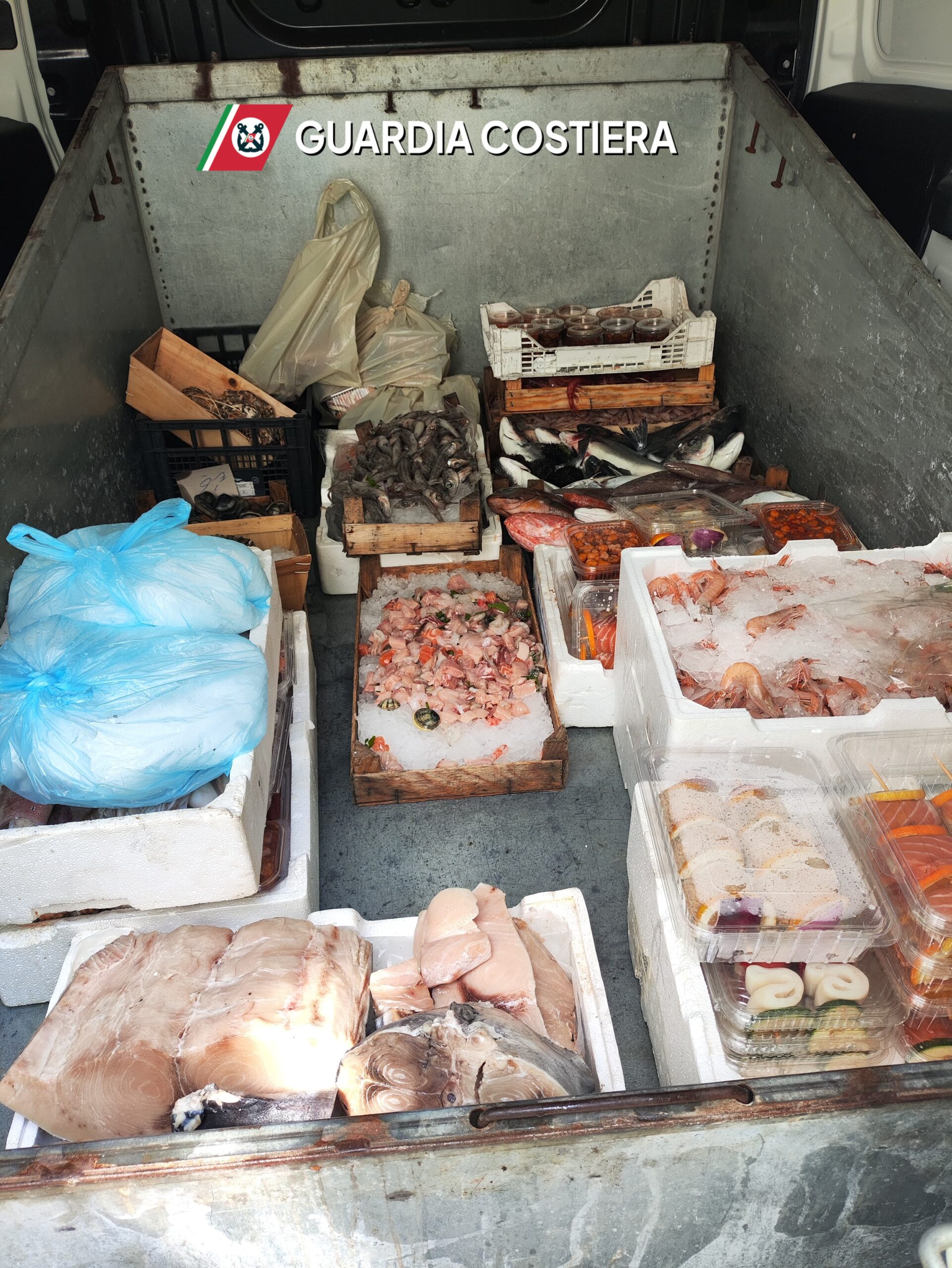 Operazione “Phoenix”, maxi sequestro di prodotto ittico in Sicilia Occidentale