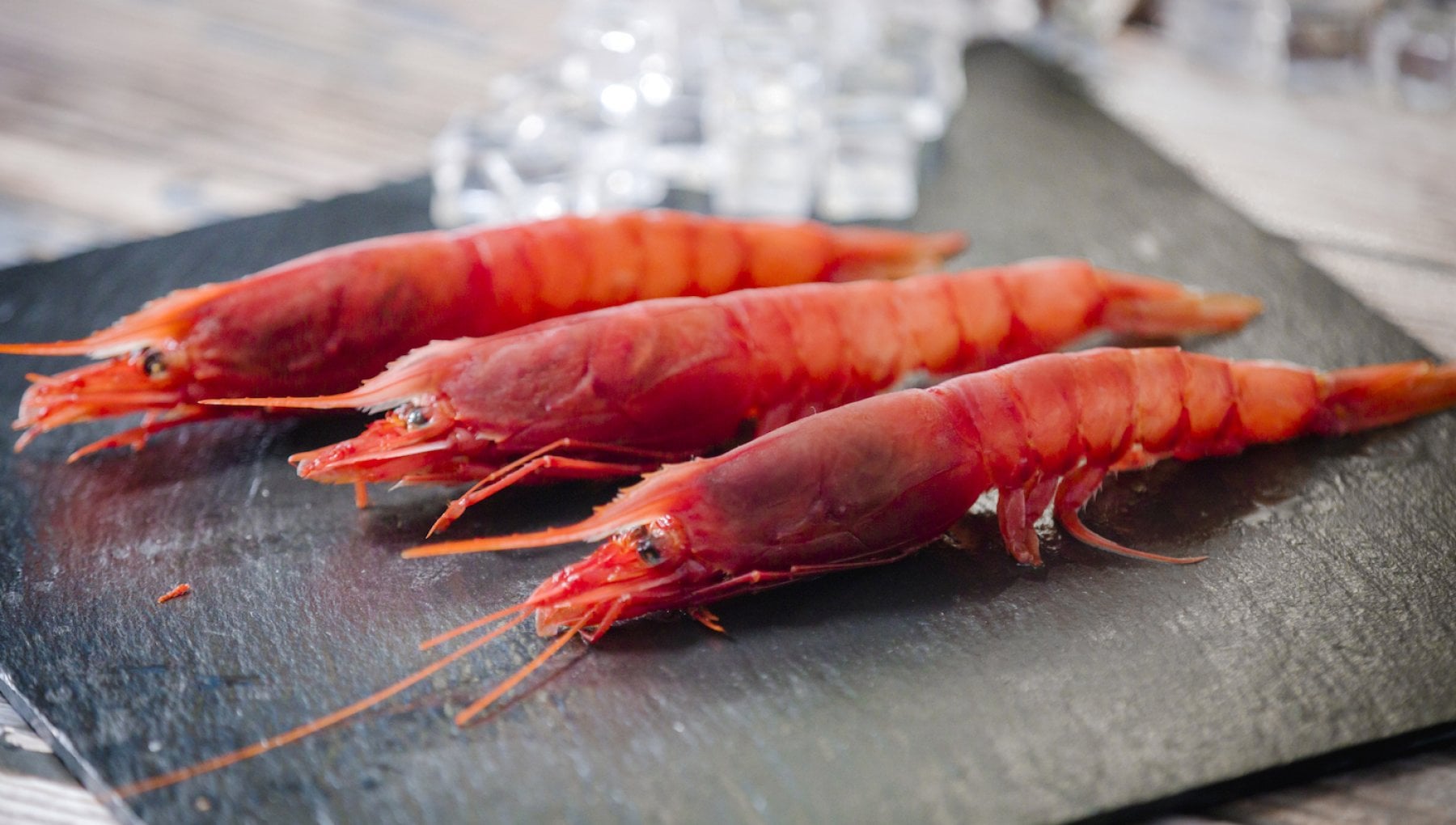 Gambero rosso di Mazara nel Piano FEAMPA: qualità e tracciabilità