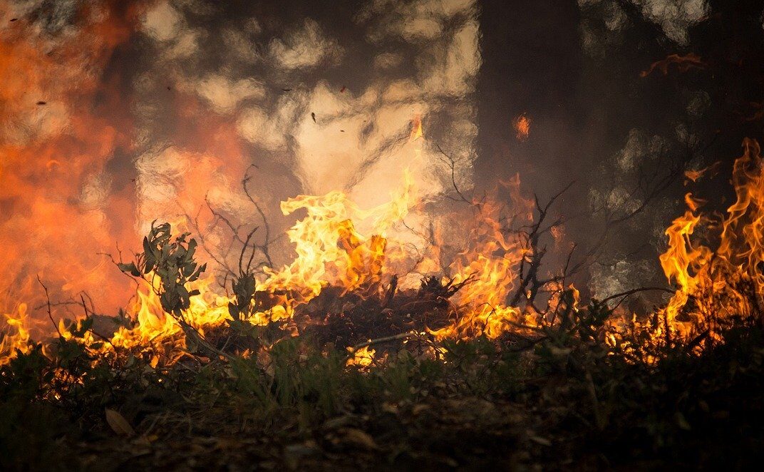 Lotta agli incendi, Erice e San Vito corrono ai ripari: pulizia del terreni