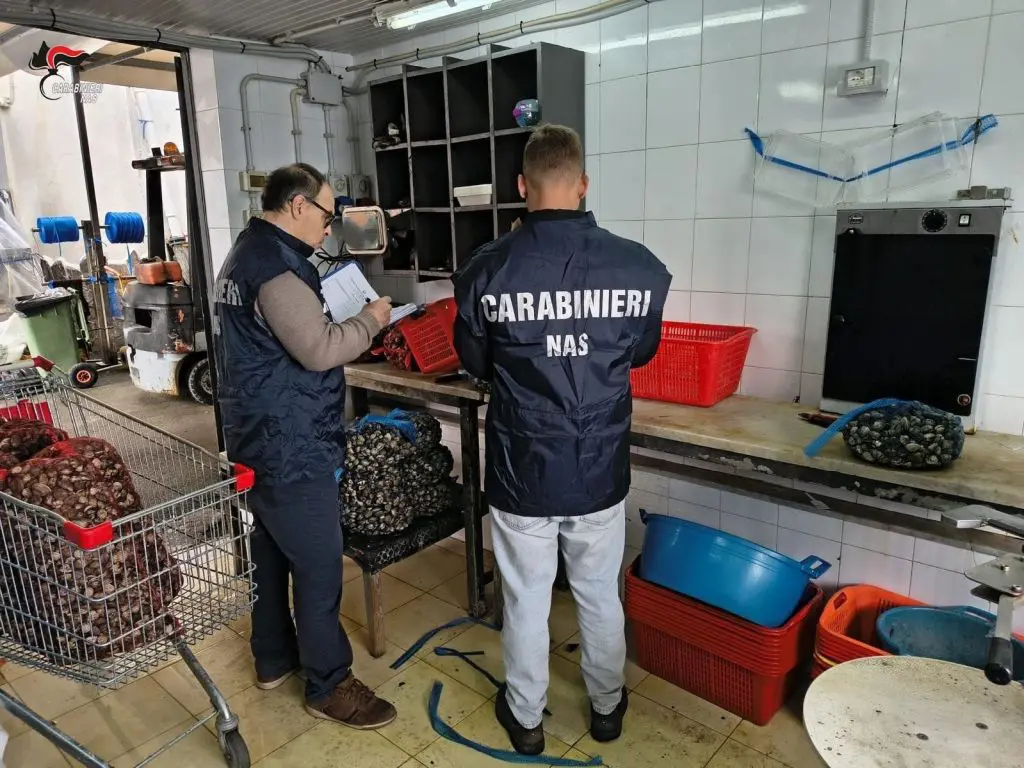 Blitz dei NAS di Palermo, sequestrati 450 kg di cozze e ostriche a rischio