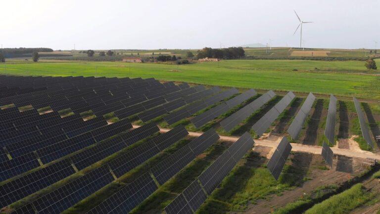 Green Energy Day, visite al parco agrivoltaico di Mazara per scoprire l’energia del futuro