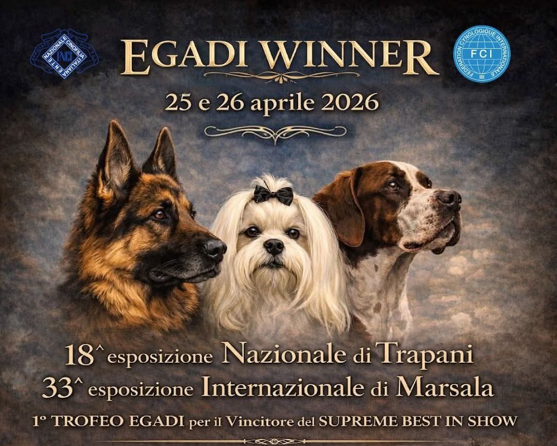 A Petrosino l’esposizione canina di Gruppo cinofilo  Marsalese delegazione Enci e di quello Trapanese