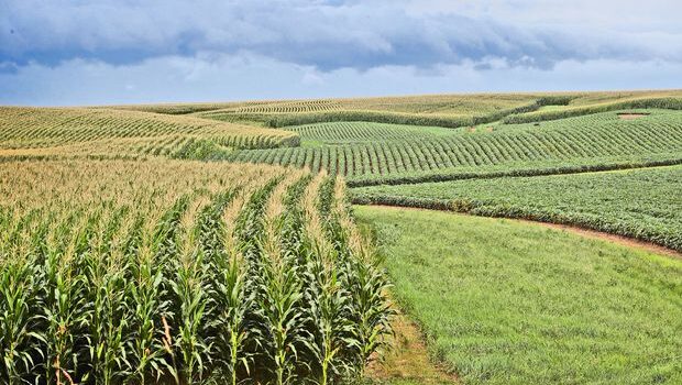 Agricoltura in ginocchio nel trapanese: costi alle stelle, rischio collasso per imprese e famiglie