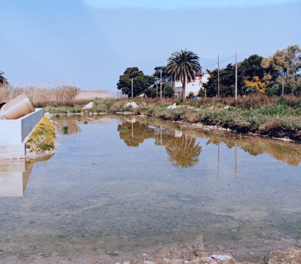Villa Genna e lo Stagnone ferito: la memoria di Elio Piazza e l’appello a non dimenticare