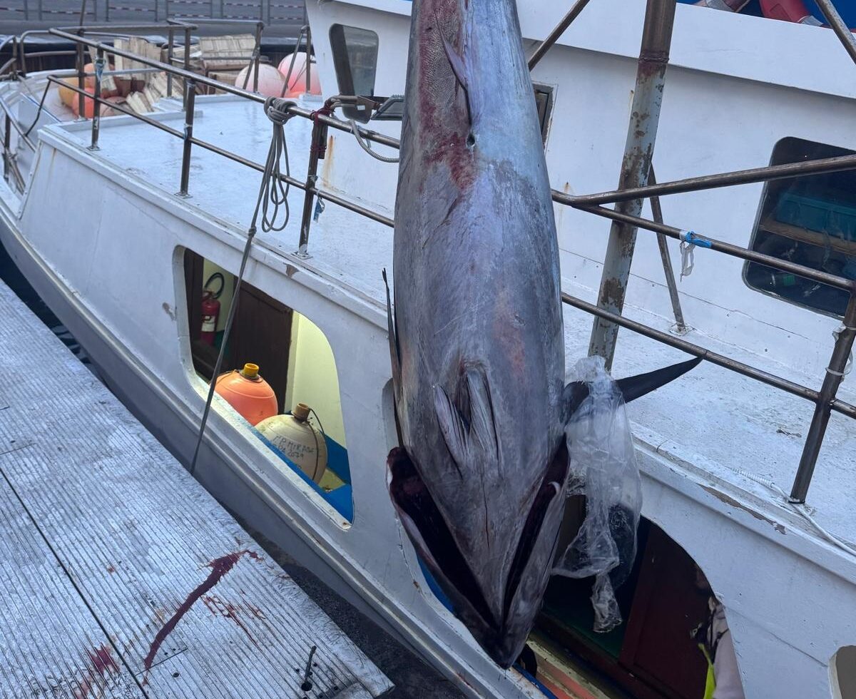 Trapani: sequestrati a bordo 19 esemplari di tonno rosso non autorizzato