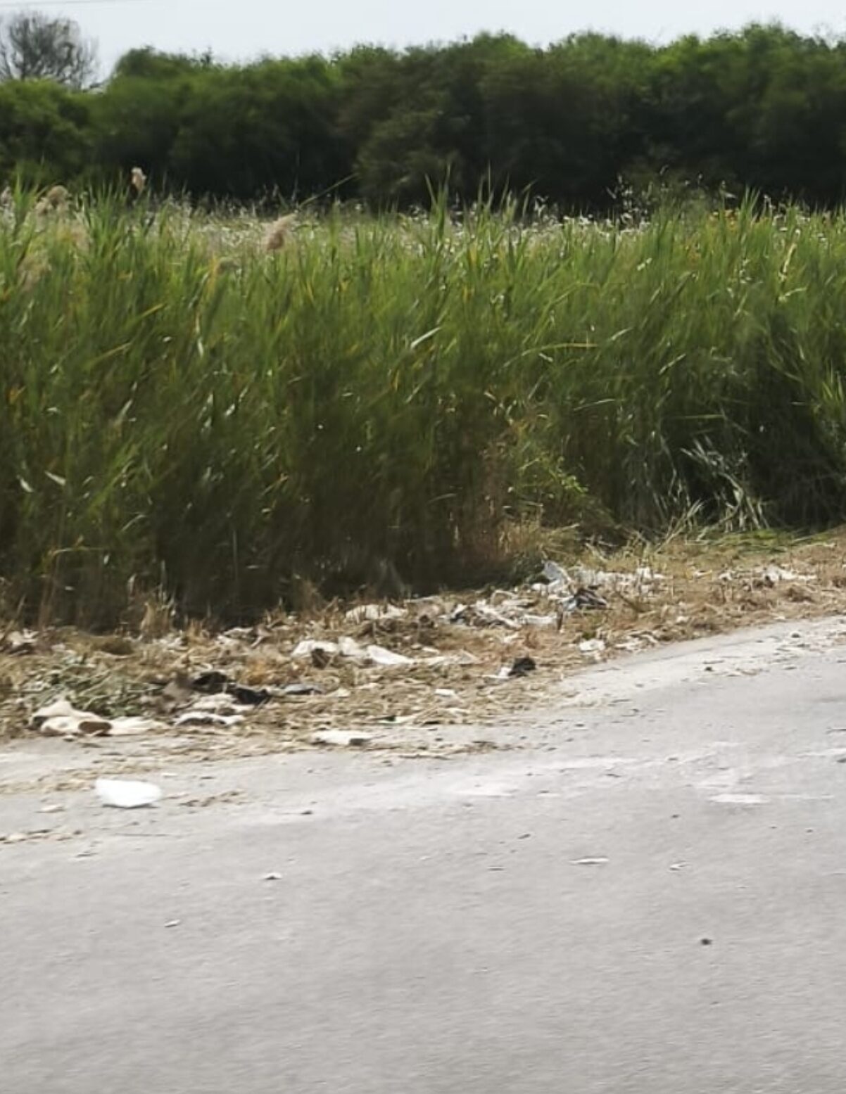 Paceco, “In via Pecoreria rifiuti triturati e dispersi nell’ambiente”