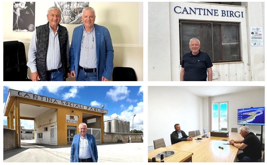 Marsala 2026: Mario Ragusa propone un piano green per il rilancio del settore vitivinicolo