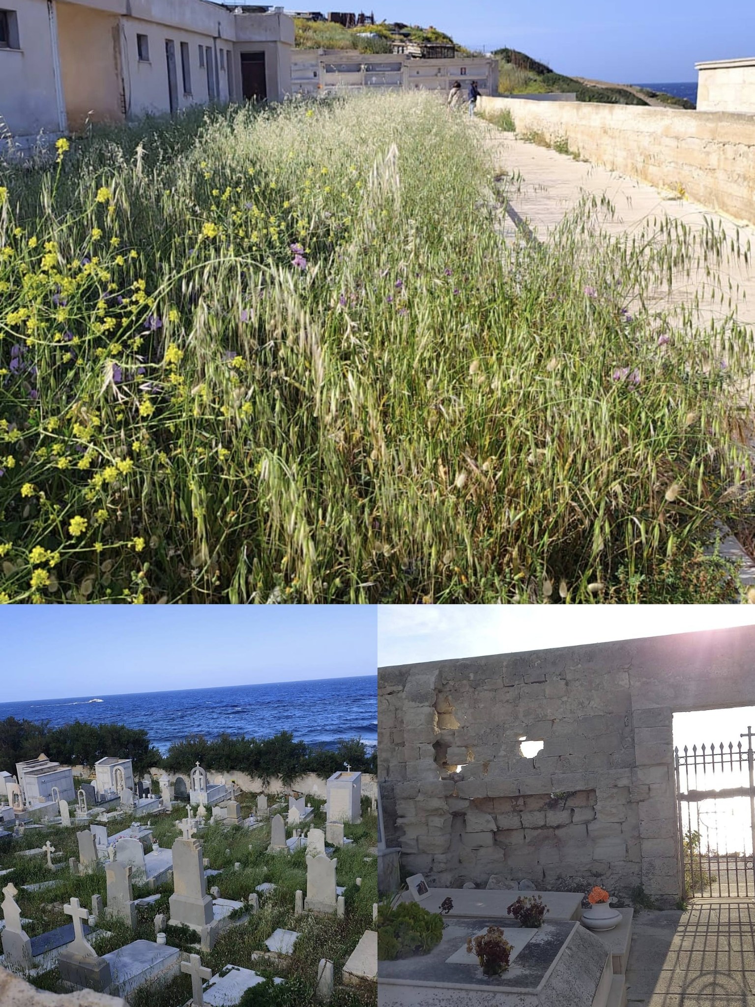 Gruppo Consiliare Egadi Meravigliose: “I cimiteri delle isole in stato di abbandono”