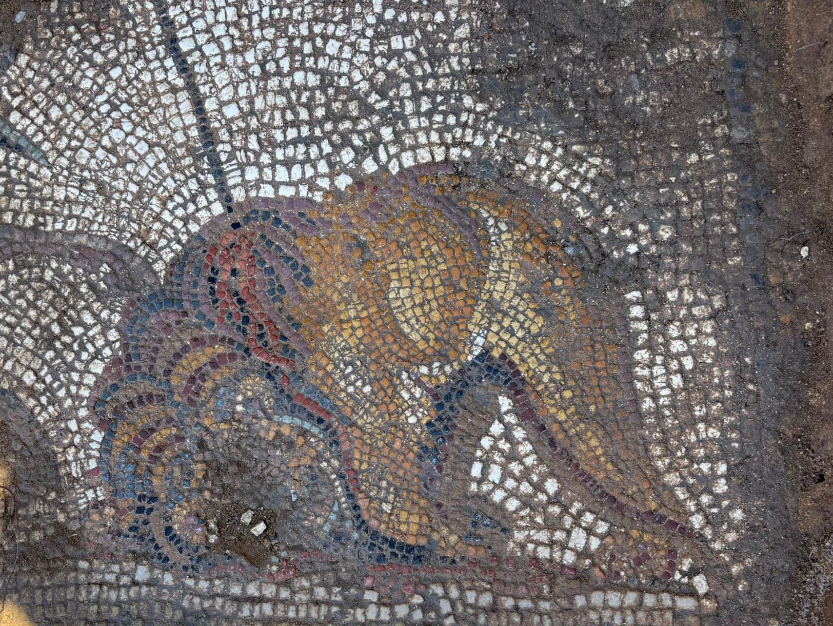 Il mosaico della caccia ‘svelato’ al Parco di Lilibeo dopo 50 anni