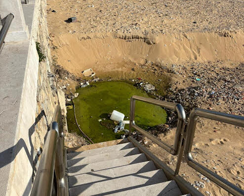 Mazara, allarme alla spiaggia in città. Futuro Nazionale:” Chiazza verde e topi”