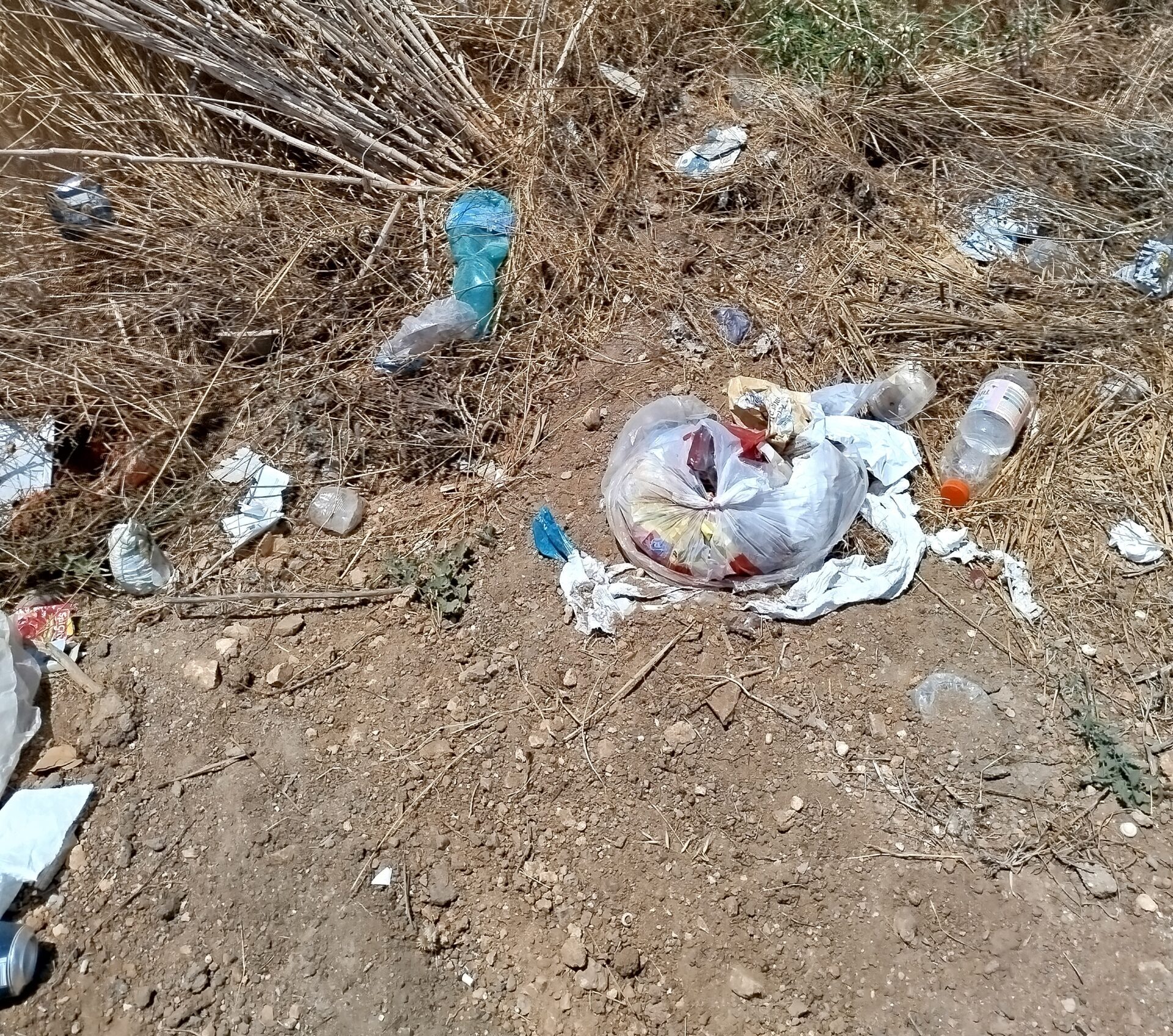 Marsala, i residenti di San Silvestro: “Strada piena di rifiuti, buche e senza illuminazione”