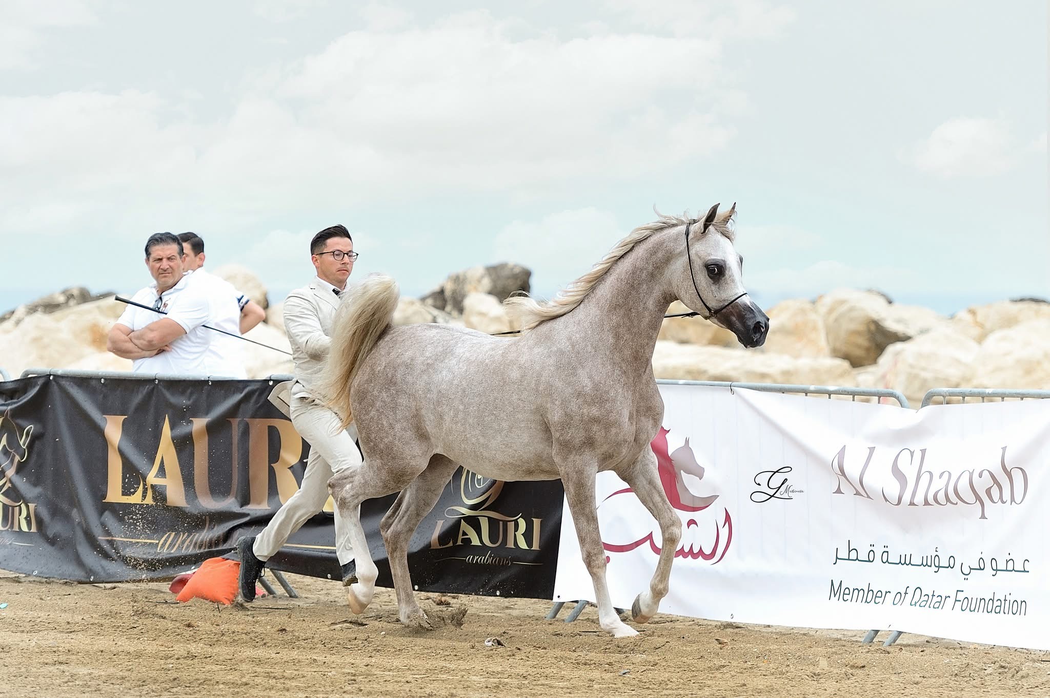 Torna la Trapani Arabian Horse Cup: il 27 e 28 giugno l’eccellenza del cavallo arabo in Sicilia