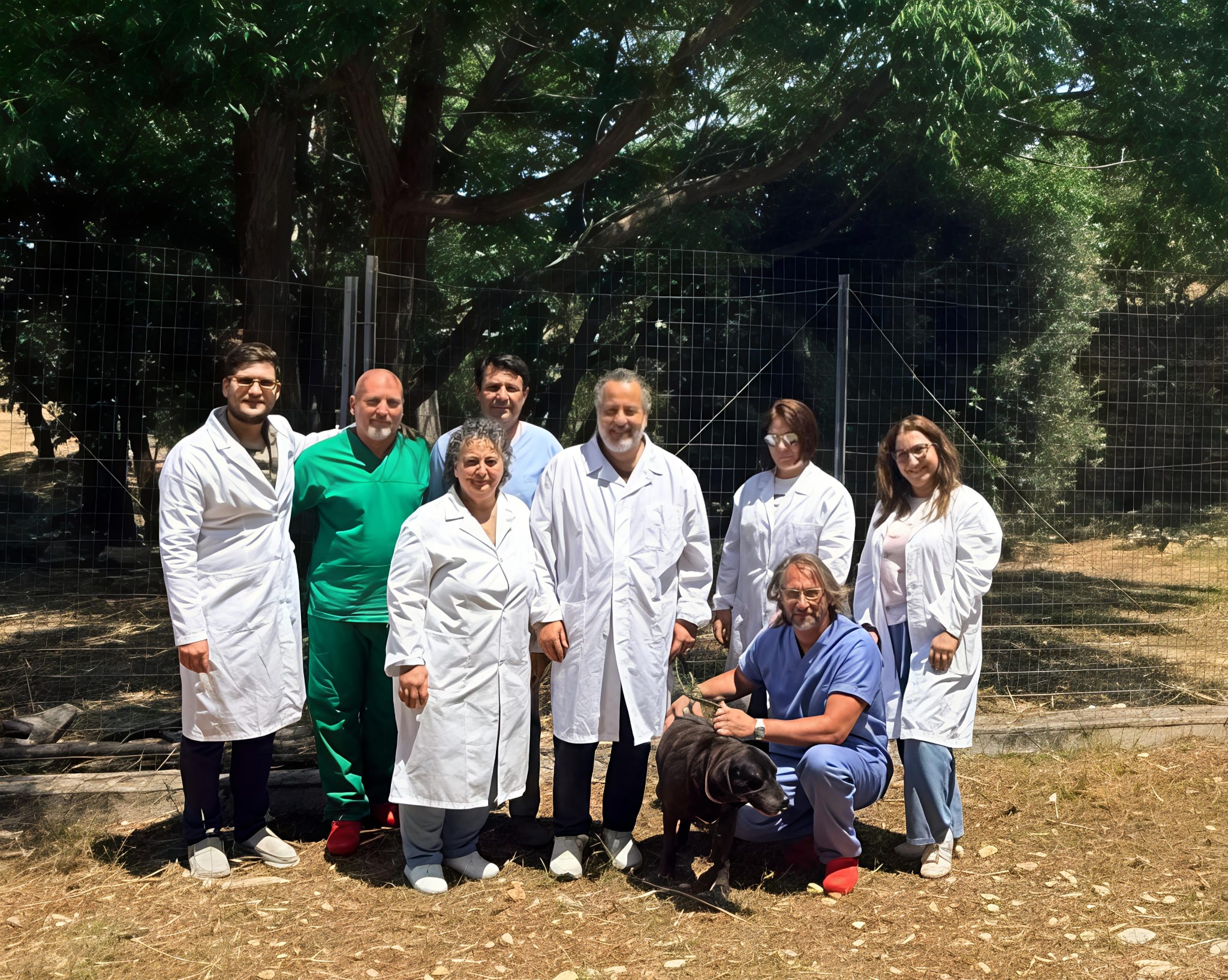 Cani abbandonati, scatta la campagna dell’Asp di Trapani: fino a 10mila euro di multa