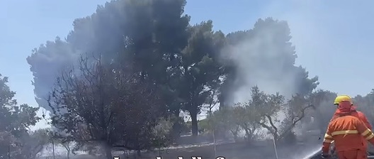 Castelvetrano: brucia capannone della Croce Rossa locale. VIDEO