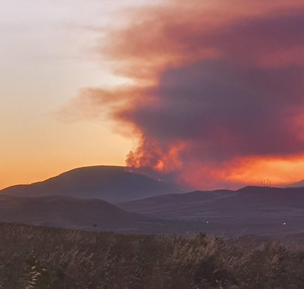 Incendio Montagna Grande, Safina (PD): “Verificare i tempi degli interventi aerei”