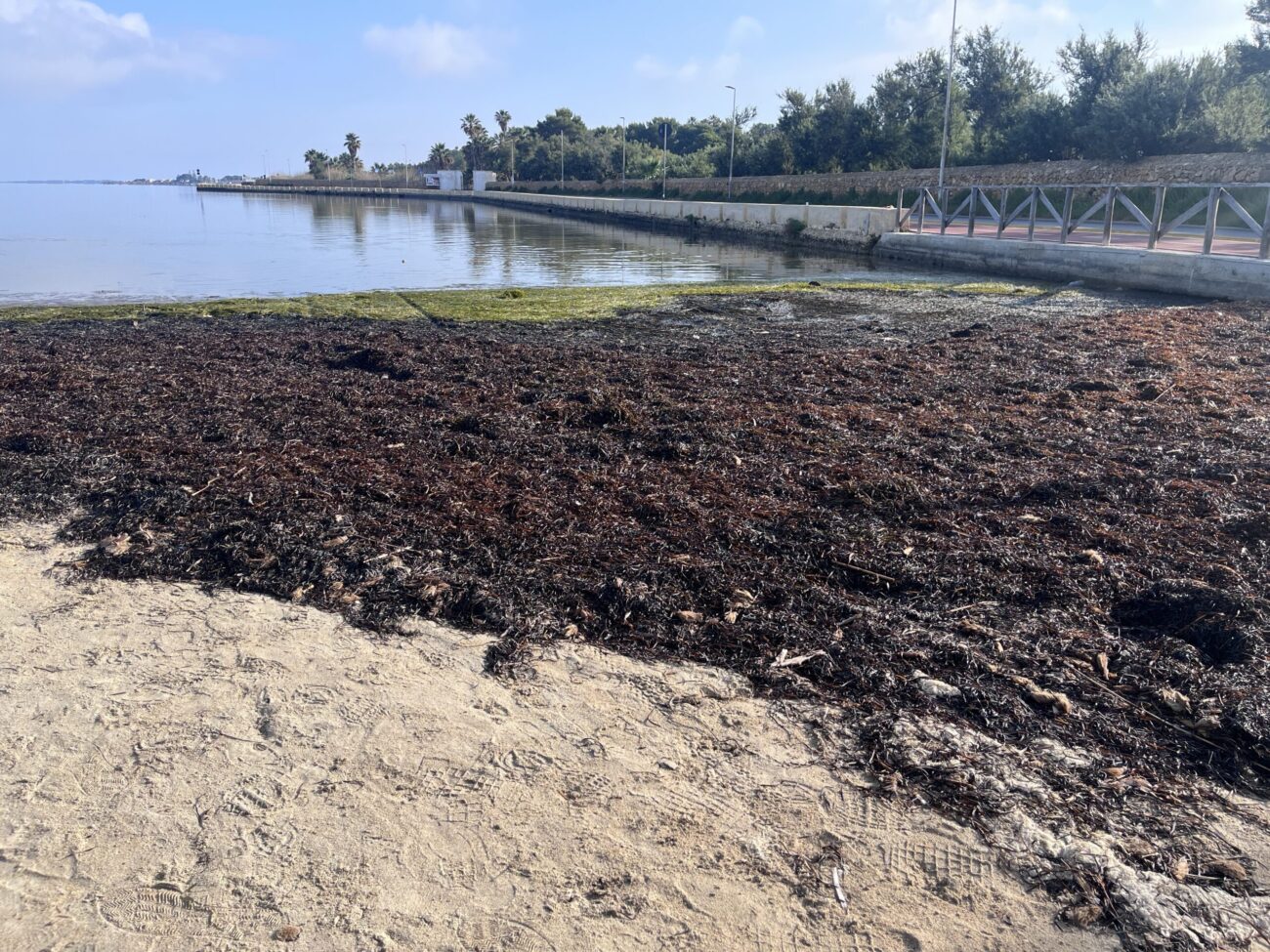 Vigilanza e salvataggio nelle spiagge libere di Marsala, avviso per il servizio