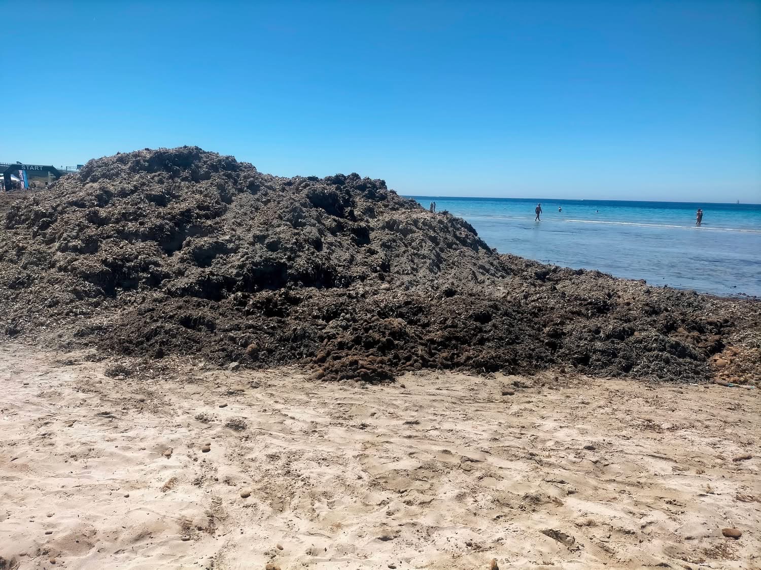 Futuro Nazionale nasce a Mazara e si preoccupa della posidonia nelle spiagge
