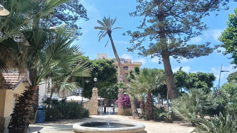 Marsala, palma pericolante a Villa Cavallotti. L’accesso fruibile da via Cesare Battisti